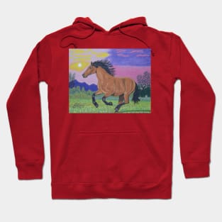 A running brown horse at sunset Hoodie